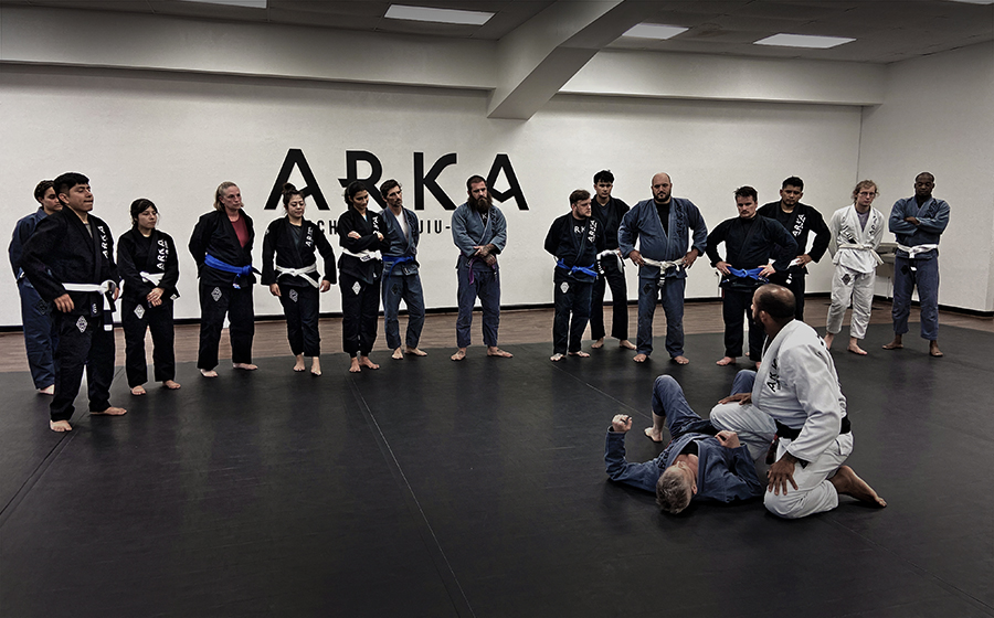 Brazilian jiu-jitsu Missouri City: Brazilian jiu-jitsu class in Missouri City