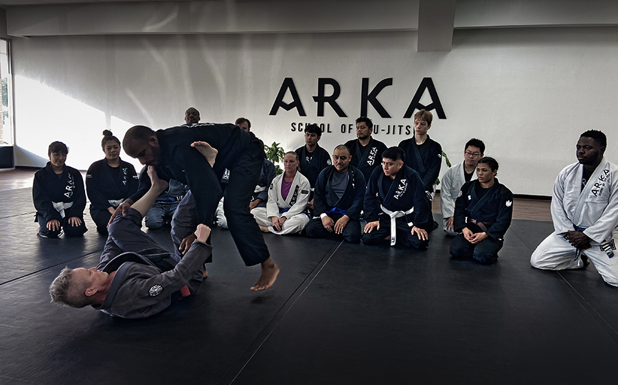  Adult jiu-jitsu Classes: Adults training in jiu-jitsu