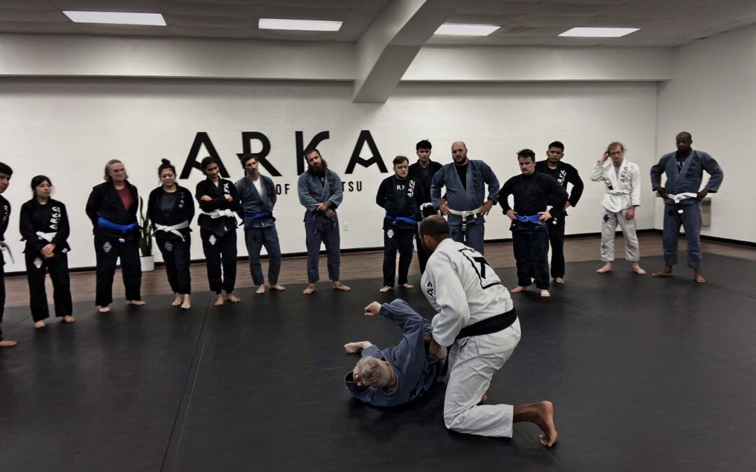 How Brazilian Jiu-Jitsu Promotes Fitness and Well-Being