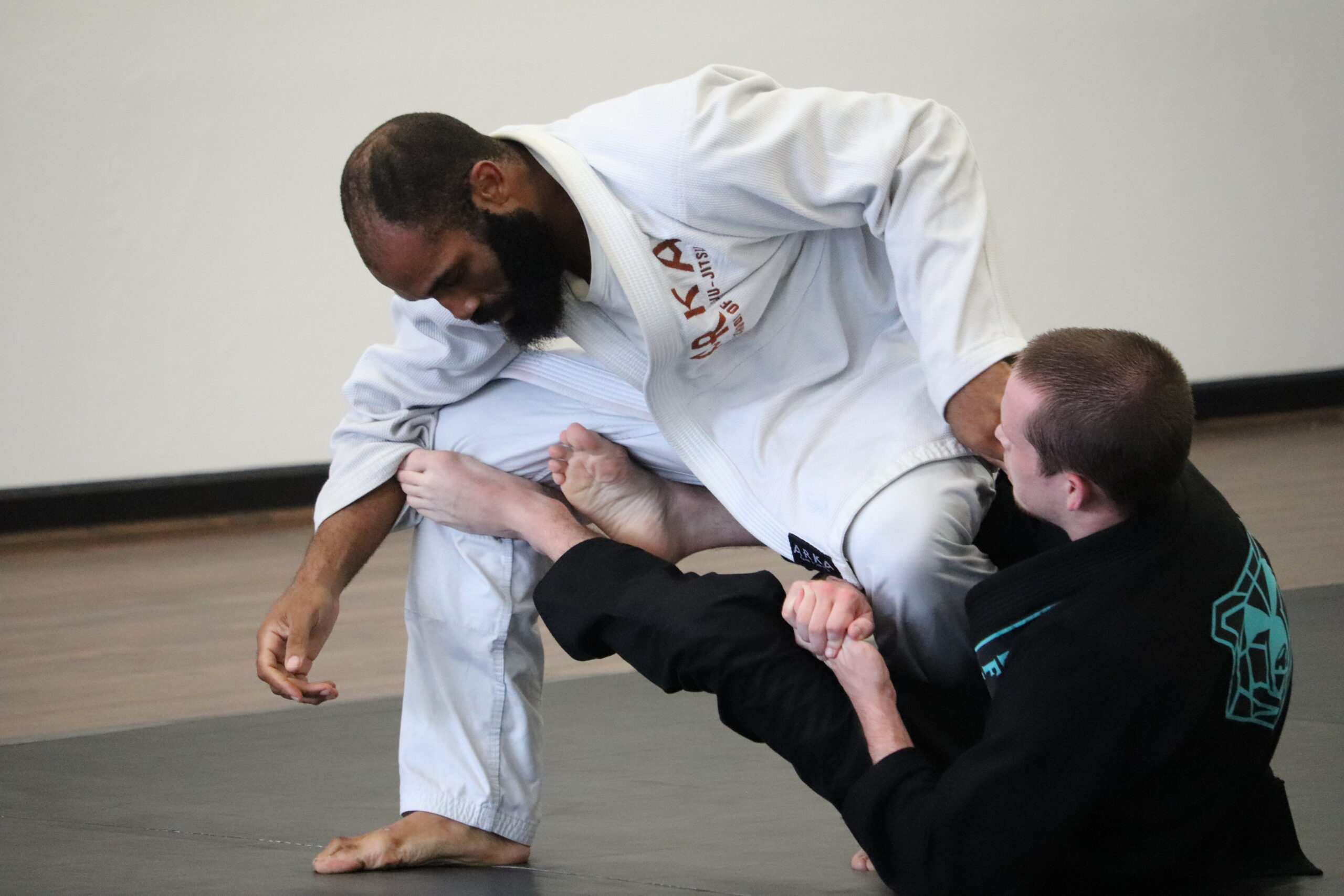 Fitness jiu-jitsu: jiu-jitsu class focusing on fitness